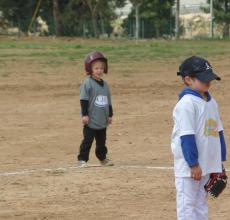 Baseball Little League, ALLA - May 2016